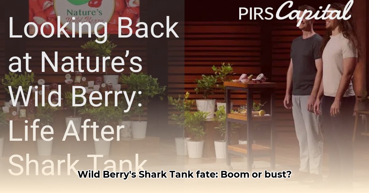 nature-s-wild-berry-net-worth